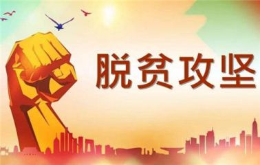 关于《花繁叶茂》观后感想_党员《花繁叶茂》学习心得精选5篇
