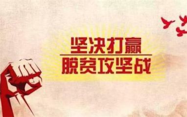 关于《花繁叶茂》观后感作文_学习《花繁叶茂》有感范文5篇