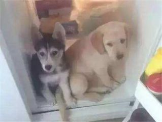 有气质的抖音个人简介_抖音个人简介吸引粉丝
