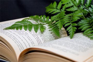 早安语录适合发朋友圈早安的句子