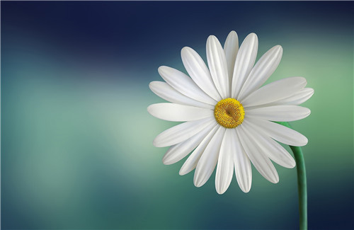 1595572853594998.jpg 9d8be927bfaf436583038a62921fd1ee.jpg
