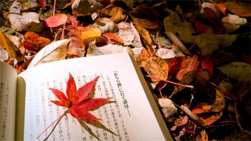 2022科比纪念日纪念科比的句子大全 2022科比纪念日纪念科比的句子大全