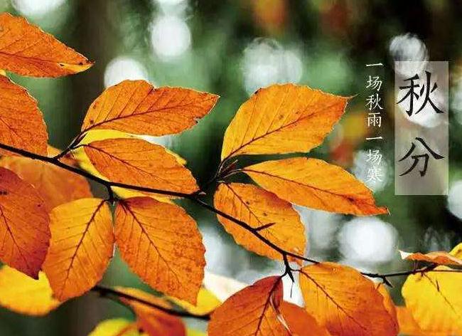 2021秋分节气问候短信 2021秋分节气问候短信