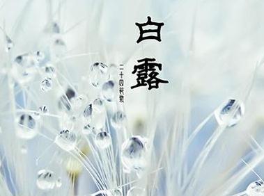 白露节气温馨祝福语_白露节气微信朋友圈祝福句子 白露节气温馨祝福语_白露节气微信朋友圈祝福句子