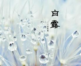 给小孩过白露节气祝福语 给小孩过白露节气祝福语