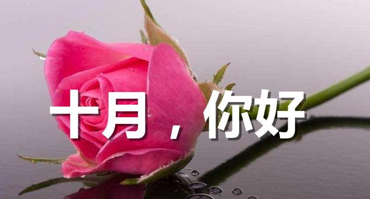 十月你好唯美句子 十月你好唯美句子