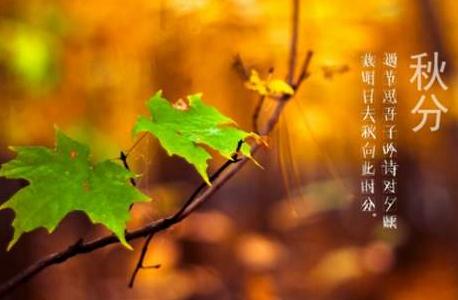 2021秋分给客户的祝福语 2021秋分给客户的祝福语