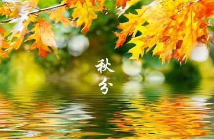 2021秋分节气朋友圈祝福语 2021秋分节气朋友圈祝福语