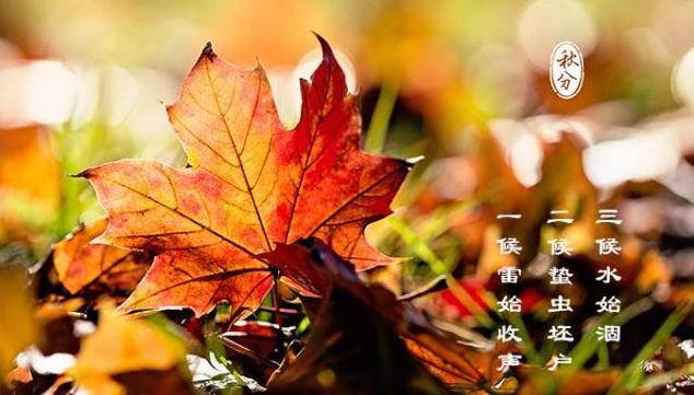 2021秋分早安短信问候语简短一句话 2021秋分早安短信问候语简短一句话