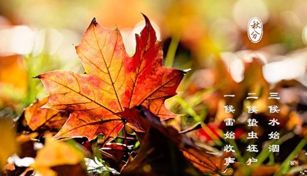 秋分短信祝福语_养生秋分温馨问候语 秋分短信祝福语_养生秋分温馨问候语