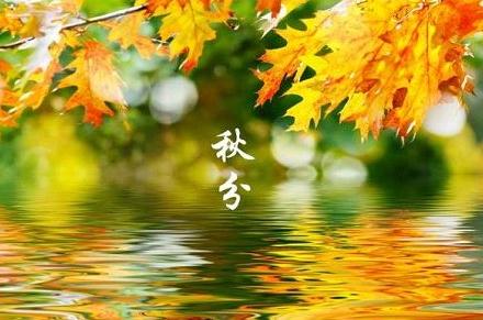 秋分朋友圈温馨祝福语 秋分朋友圈温馨祝福语