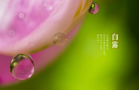 白露节气短信暖心问候语_白露节气的经典祝福说说
