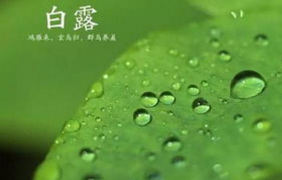 朋友宝宝白露祝福语_今日节气白露的祝福语 朋友宝宝白露祝福语_今日节气白露的祝福语