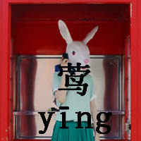 qq姐妹头像两张配一对带字 365天陪伴