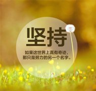 传递正能量的句子 不畏将来不念过往