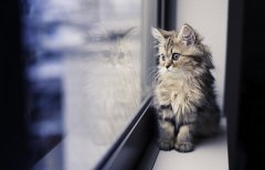 关于人生哲理的句子 人生不过如此且行且珍惜