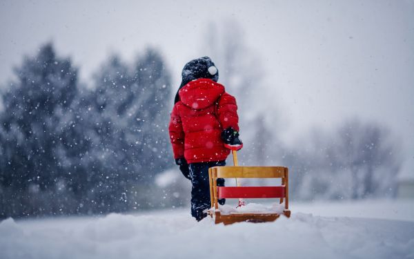 唯美的下雪图片 唯美雪景风采