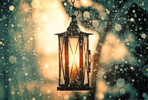 唯美的下雪图片 唯美雪景风采