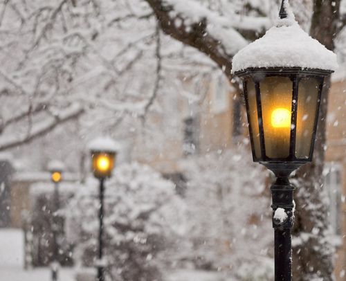 唯美的下雪图片 唯美雪景风采