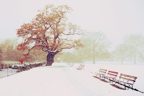 唯美的下雪图片 唯美雪景风采