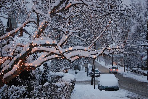 唯美的下雪图片 唯美雪景风采