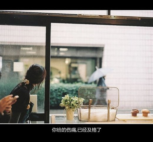 带字的伤感图片 你给的伤痛已经及格了