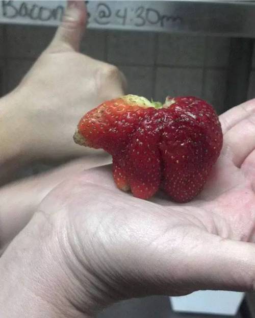 20个奇形怪状的搞笑蔬菜图 真是太有趣了