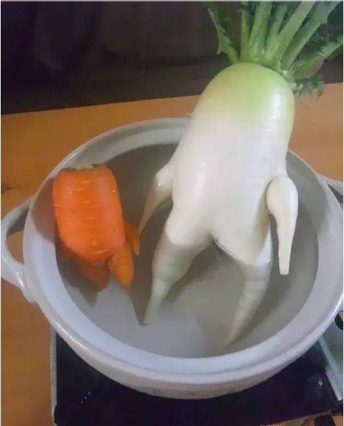 20个奇形怪状的搞笑蔬菜图 真是太有趣了