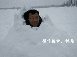 搞笑gif动态图 这个服务员妹子真不错