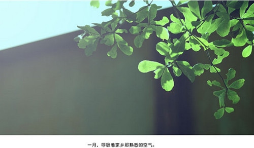 空间热门说说带图片 带图片的空间说说