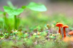 qq搞笑说说大全 最新搞笑说说大全