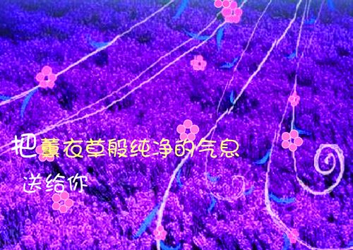 浪漫的qq情侣网名 好听又有个性