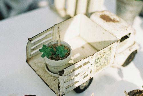 手机壁纸唯美图片