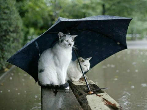 下雨天心情不好的说说
