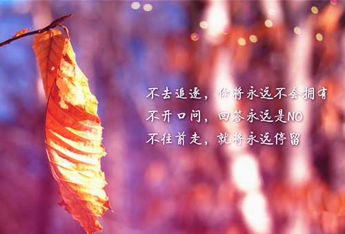 正能量激励人的好句子