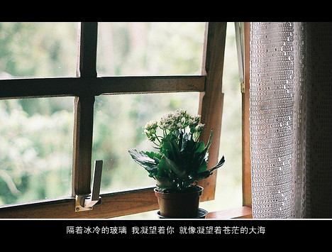 关于青春的伤感的句子