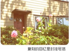唯美图片带文字的 带文字的唯美图片