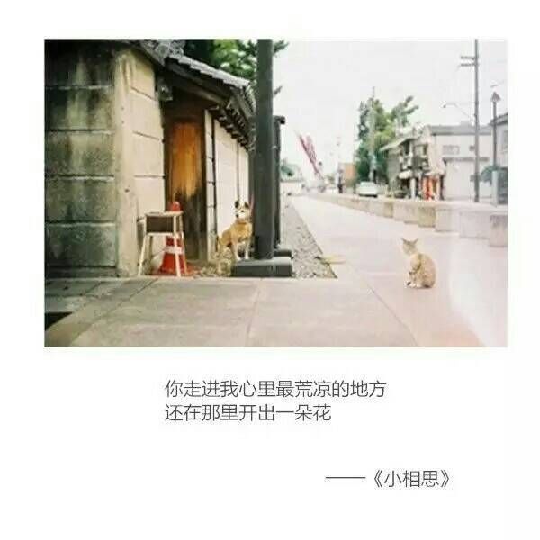 唯美图片带文字的 带文字的唯美图片