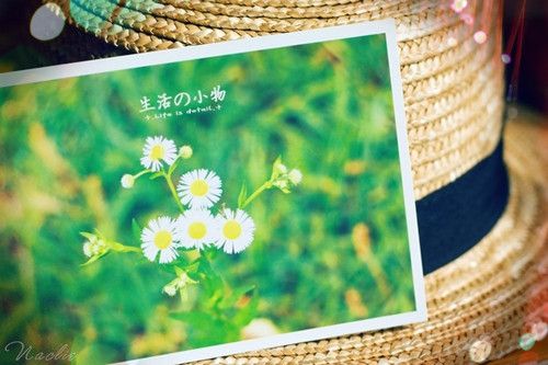 网络游戏网名大全