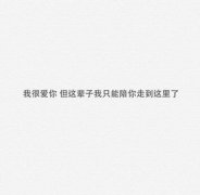 优美的有诗意的爱情句子