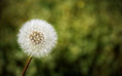 禅语感悟人生的句子名言名句