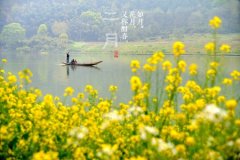 2020新年正能量句子
