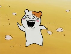 女生逗比搞笑说说 女生搞笑说说大全