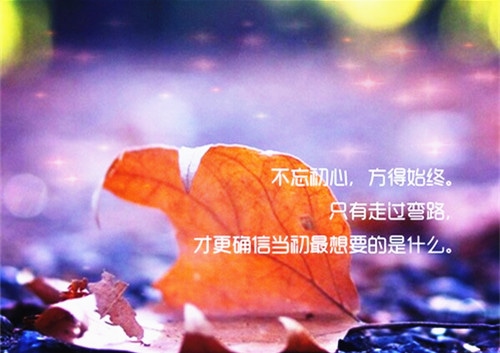 关于青春励志的唯美句子