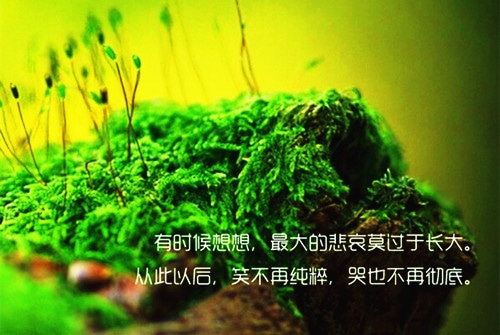 关于高中的励志句子 期待明天期待阳光