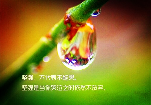 关于高中的励志句子 期待明天期待阳光