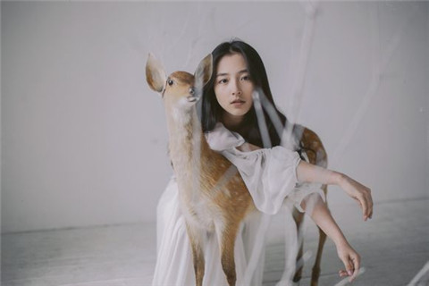 关于理想的的优美句子