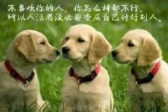 带顺字的微信网名
