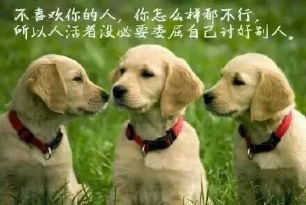 带顺字的微信网名