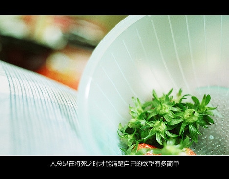 描述爱情的唯美句子分享
